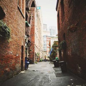 Picsum ID: 1047 Pro Camera