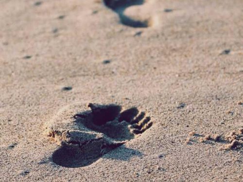 Picsum ID: 156 Eco Chair