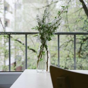 Picsum ID: 305 Prime Camera