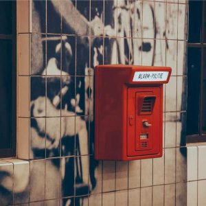 Picsum ID: 619 Pro Camera