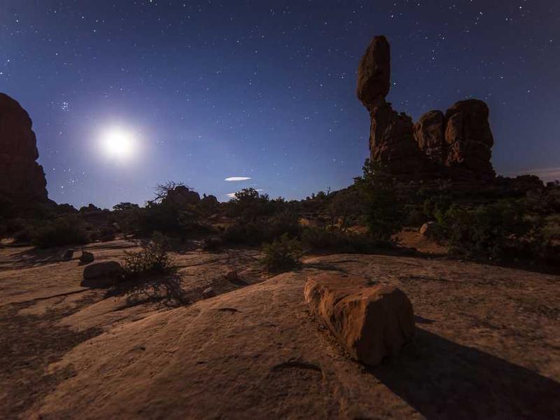 Picsum ID: 884 Lightweight Chair