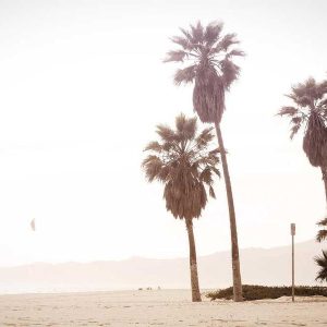 Picsum ID: 108 Nova Case