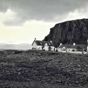 Picsum ID: 236 Aero Backpack