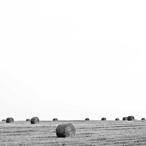 Picsum ID: 300 Aero Backpack