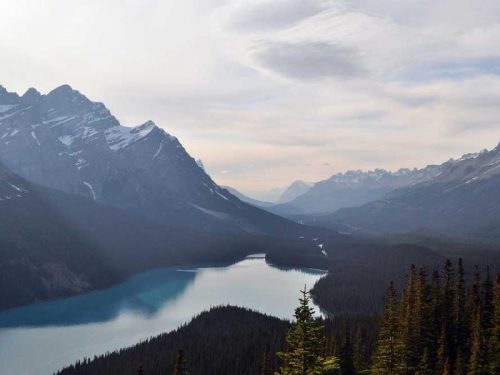 Picsum ID: 450 Aero Backpack