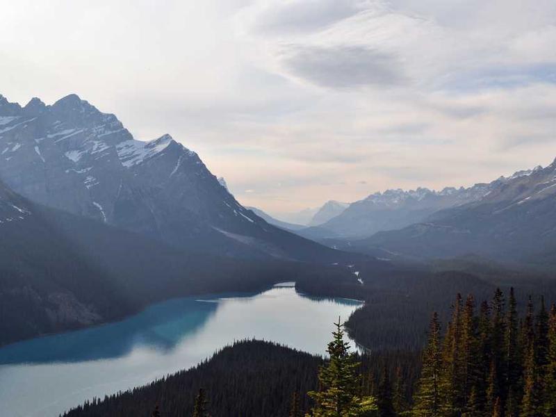 Picsum ID: 450 Aero Backpack